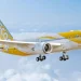 Sasar Pasar Internasional Scoot Airlines Buka Rute Singapura-Pekanbaru-Singapura